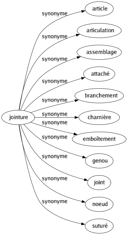 Synonyme de Jointure : Article Articulation Assemblage Attaché Branchement Charnière Emboîtement Genou Joint Noeud Suturé 