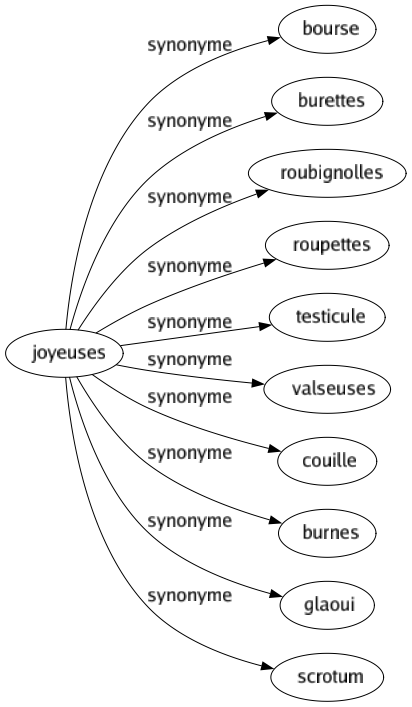 Synonyme de Joyeuses : Bourse Burettes Roubignolles Roupettes Testicule Valseuses Couille Burnes Glaoui Scrotum 