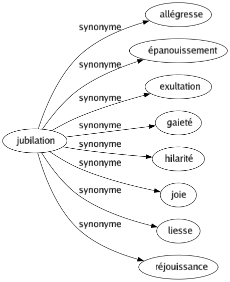 Synonyme de Jubilation : Allégresse Épanouissement Exultation Gaieté Hilarité Joie Liesse Réjouissance 