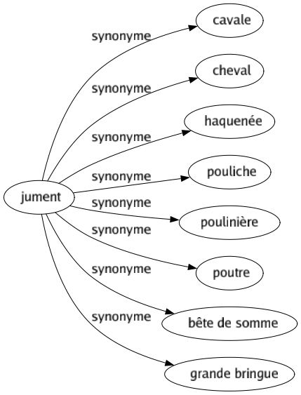 Synonyme de Jument : Cavale Cheval Haquenée Pouliche Poulinière Poutre Bête de somme Grande bringue 