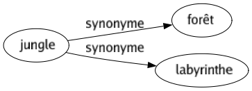 Synonyme de Jungle : Forêt Labyrinthe 