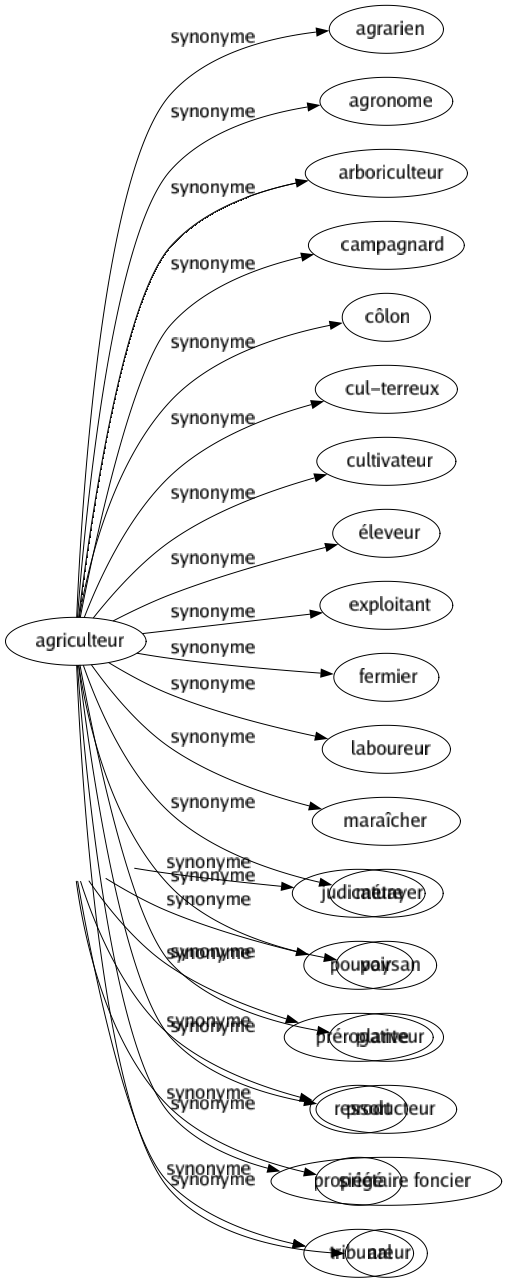 Synonyme de Juridiction : Allégeance Circonscription Compétence Conseil For Instance Judicature Pouvoir Prérogative Ressort Siégé Tribunal 