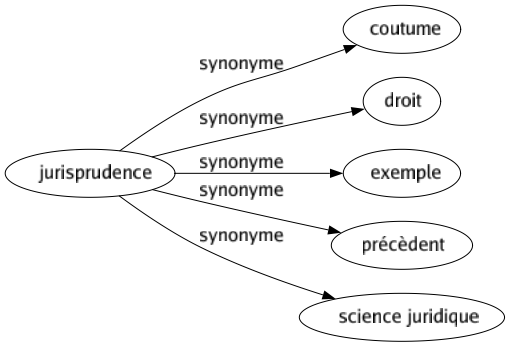 Synonyme de Jurisprudence : Coutume Droit Exemple Précèdent Science juridique 