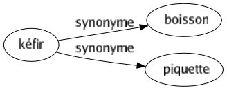 Synonyme de Kéfir : Boisson Piquette 
