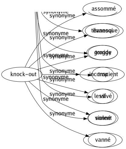 Synonyme de Knock-out : Assommé Évanoui Groggy Inconscient Lessivé Sonné Vanné 