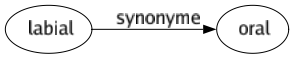 Synonyme de Labial : Oral 