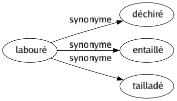 Synonyme de Labouré : Déchiré Entaillé Tailladé 