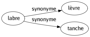 Synonyme de Labre : Lèvre Tanche 