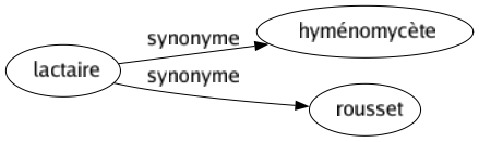 Synonyme de Lactaire : Hyménomycète Rousset 