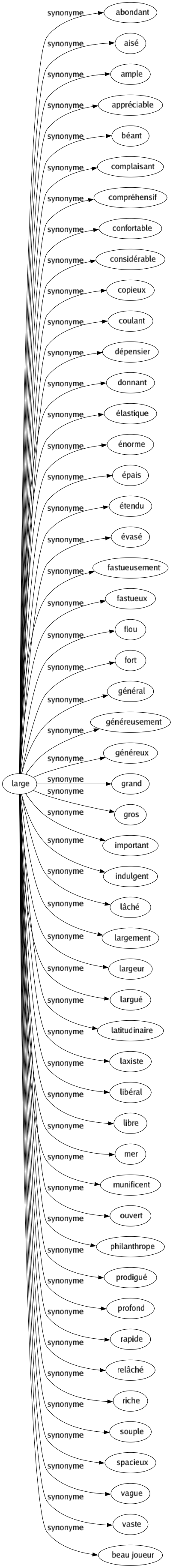 Synonyme de Large : Abondant Aisé Ample Appréciable Béant Complaisant Compréhensif Confortable Considérable Copieux Coulant Dépensier Donnant Élastique Énorme Épais Étendu Évasé Fastueusement Fastueux Flou Fort Général Généreusement Généreux Grand Gros Important Indulgent Lâché Largement Largeur Largué Latitudinaire Laxiste Libéral Libre Mer Munificent Ouvert Philanthrope Prodigué Profond Rapide Relâché Riche Souple Spacieux Vague Vaste Beau joueur 