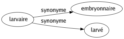 Synonyme de Larvaire : Embryonnaire Larvé 