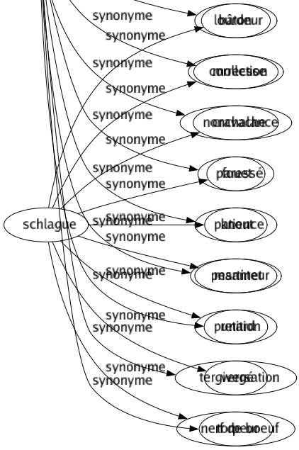 Synonyme de Lenteur : Alanguissement Apathie Atermoiement Délai Douceur Engourdissement Épaisseur Inaction Inactivité Indolence Longueur Lourdeur Mollesse Nonchalance Paressé Patience Pesanteur Retard Tergiversation Torpeur 