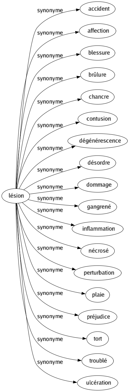 Synonyme de Lésion : Accident Affection Blessure Brûlure Chancre Contusion Dégénérescence Désordre Dommage Gangrené Inflammation Nécrosé Perturbation Plaie Préjudice Tort Troublé Ulcération 