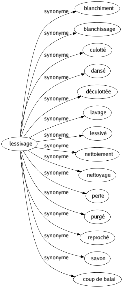 Synonyme de Lessivage : Blanchiment Blanchissage Culotté Dansé Déculottée Lavage Lessivé Nettoiement Nettoyage Perte Purgé Reproché Savon Coup de balai 