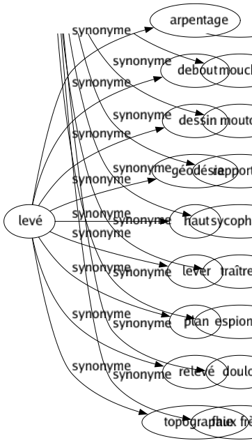 Synonyme de Levé : Arpentage Debout Dessin Géodésie Haut Lever Plan Relevé Topographie 