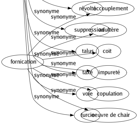 Synonyme de Levée : Appel Banque Banquette Barrage Berge Bord Boulevard Chaussée Clôturé Collecté Convocation Digue Disparition Dissipation Effacement Enlèvement Enrôlement Impôt Jetée Lever Libération Palette Perception Pli Poussé Quai Récolté Relevage Révolté Suppression Talus Taxé Voie Turcie 