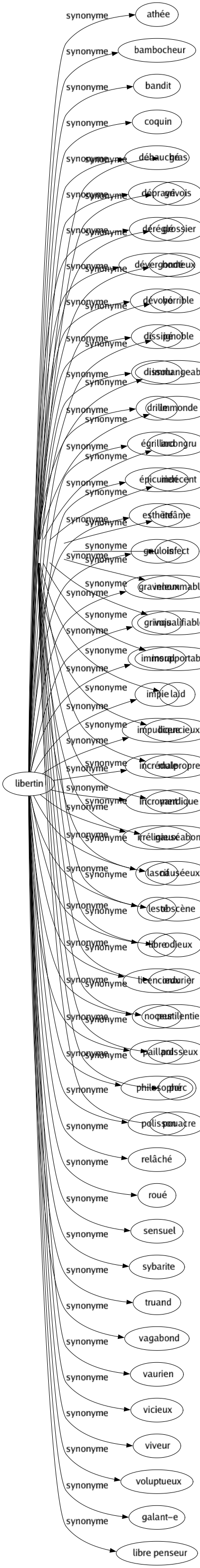 Synonyme de Libertin : Athée Bambocheur Bandit Coquin Débauché Dépravé Déréglé Dévergondé Dévoyé Dissipé Dissolu Drille Égrillard Épicurien Esthète Gaulois Graveleux Grivois Immoral Impie Impudique Incrédule Incroyant Irréligieux Lascif Lesté Libre Licencieux Noceur Paillard Philosophé Polisson Relâché Roué Sensuel Sybarite Truand Vagabond Vaurien Vicieux Viveur Voluptueux Galant-e Libre penseur 