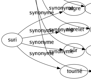 Synonyme de Libertinage : Débauché Débordement Déportement Dérèglement Dévergondage Dissolution Excès Frasque Galanterie Immoralité Impiété Inconduite Incrédulité Intempérance Lasciveté Licence Luxure Polissonnerie Sensualité Stupre Turpitude Vice 