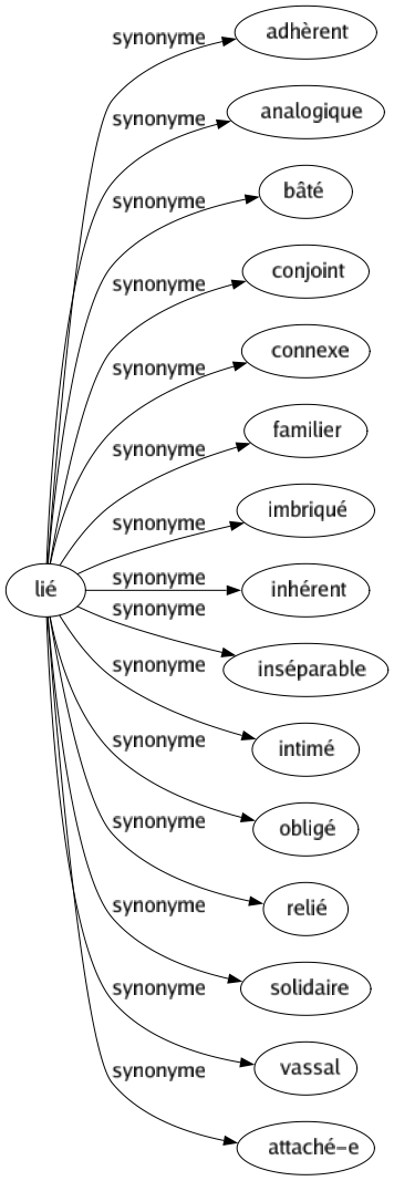 Synonyme de Lié : Adhèrent Analogique Bâté Conjoint Connexe Familier Imbriqué Inhérent Inséparable Intimé Obligé Relié Solidaire Vassal Attaché-e 