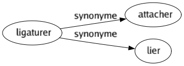 Synonyme de Ligaturer : Attacher Lier 