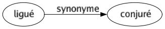Synonyme de Ligué : Conjuré 