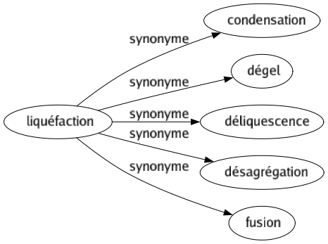 Synonyme de Liquéfaction : Condensation Dégel Déliquescence Désagrégation Fusion 
