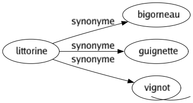 Synonyme de Littorine : Bigorneau Guignette Vignot 