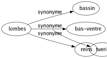Synonyme de Lombes : Bassin Bas-ventre Reins 