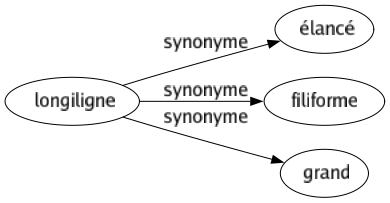 Synonyme de Longiligne : Élancé Filiforme Grand 
