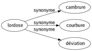 Synonyme de Lordose : Cambrure Courbure Déviation 