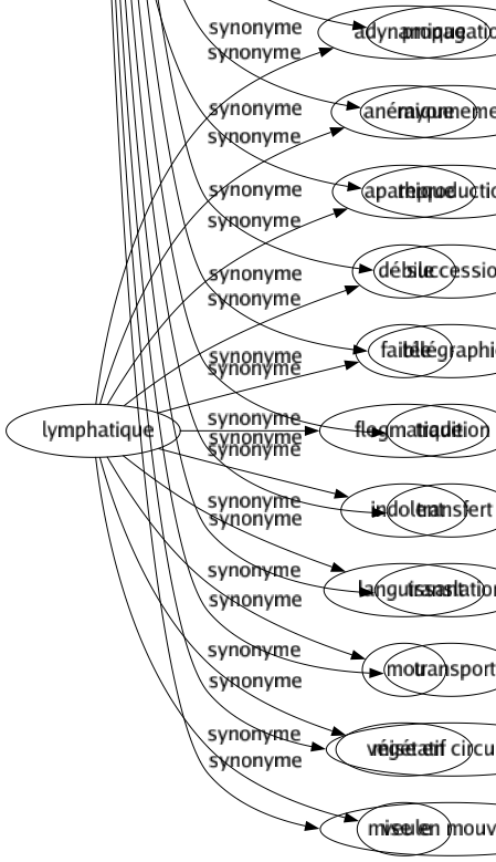 Synonyme de Lymphatique : Adynamique Anémique Apathique Débile Faible Flegmatique Indolent Languissant Mou Végétatif Veule 