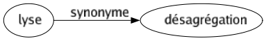 Synonyme de Lyse : Désagrégation 