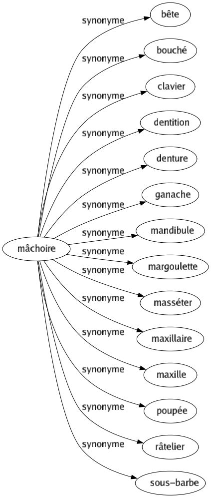Synonyme de Mâchoire : Bête Bouché Clavier Dentition Denture Ganache Mandibule Margoulette Masséter Maxillaire Maxille Poupée Râtelier Sous-barbe 