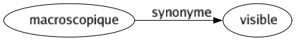 Synonyme de Macroscopique : Visible 