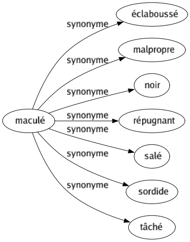 Synonyme de Maculé : Éclaboussé Malpropre Noir Répugnant Salé Sordide Tâché 