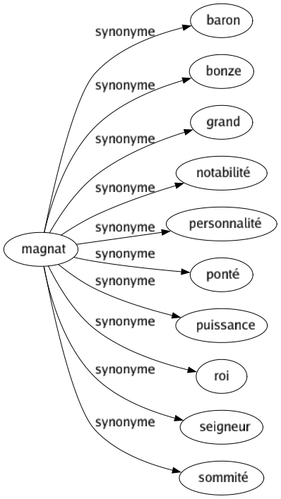 Synonyme de Magnat : Baron Bonze Grand Notabilité Personnalité Ponté Puissance Roi Seigneur Sommité 
