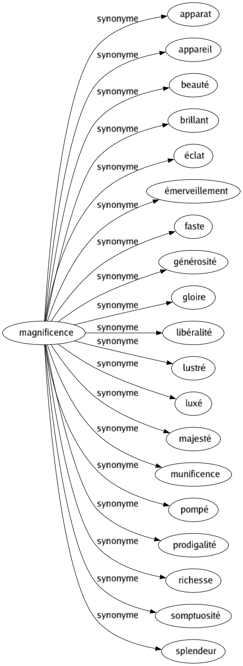 Synonyme de Magnificence : Apparat Appareil Beauté Brillant Éclat Émerveillement Faste Générosité Gloire Libéralité Lustré Luxé Majesté Munificence Pompé Prodigalité Richesse Somptuosité Splendeur 