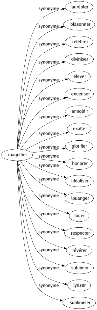 Synonyme de Magnifier : Auréoler Blasonner Célébrer Diviniser Élever Encenser Ennoblir Exalter Glorifier Honorer Idéaliser Louanger Louer Respecter Révérer Sublimer Lyriser Sublimiser 