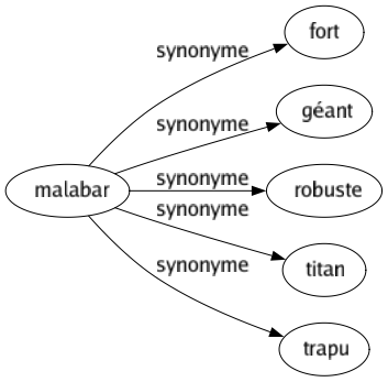 Synonyme de Malabar : Fort Géant Robuste Titan Trapu 