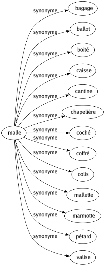 Synonyme de Malle : Bagage Ballot Boité Caisse Cantine Chapelière Coché Coffré Colis Mallette Marmotte Pétard Valise 