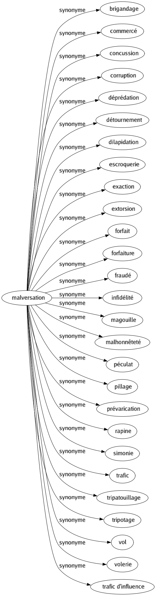 Synonyme de Malversation : Brigandage Commercé Concussion Corruption Déprédation Détournement Dilapidation Escroquerie Exaction Extorsion Forfait Forfaiture Fraudé Infidélité Magouille Malhonnêteté Péculat Pillage Prévarication Rapine Simonie Trafic Tripatouillage Tripotage Vol Volerie Trafic d'influence 