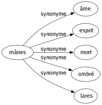 Synonyme de Mânes : Âme Esprit Mort Ombré Lares 