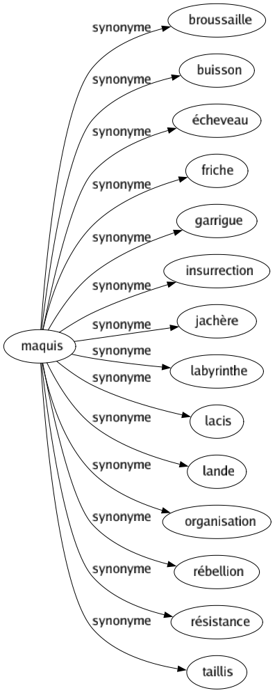 Synonyme de Maquis : Broussaille Buisson Écheveau Friche Garrigue Insurrection Jachère Labyrinthe Lacis Lande Organisation Rébellion Résistance Taillis 