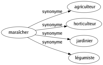 Synonyme de Maraîcher : Agriculteur Horticulteur Jardinier Légumiste 