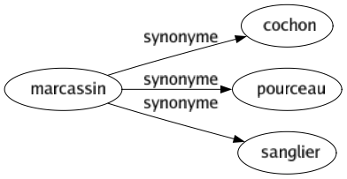 Synonyme de Marcassin : Cochon Pourceau Sanglier 