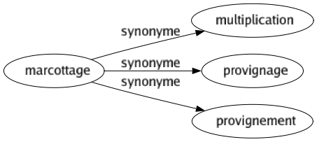 Synonyme de Marcottage : Multiplication Provignage Provignement 