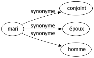 Synonyme de Mari : Conjoint Époux Homme 