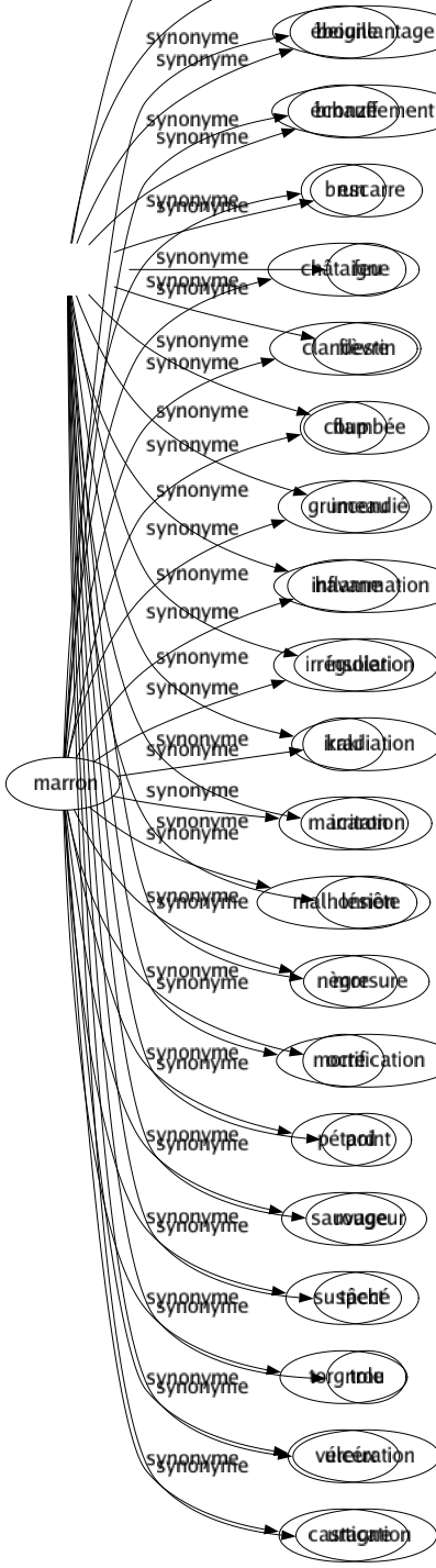 Synonyme de Marron : Beigne Bronzé Brun Châtaigne Clandestin Coup Grumeau Havane Irrégulier Kaki Macaron Malhonnête Nègre Ocre Pétard Sauvage Suspect Torgnole Véreux Castagne 