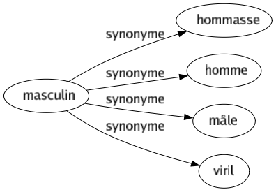Synonyme de Masculin : Hommasse Homme Mâle Viril 