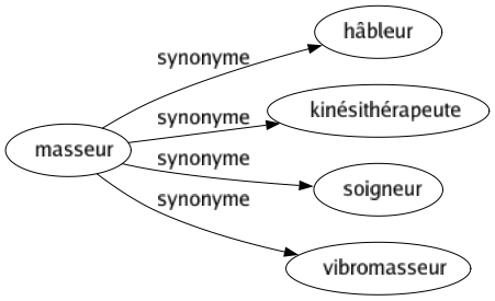 Synonyme de Masseur : Hâbleur Kinésithérapeute Soigneur Vibromasseur 